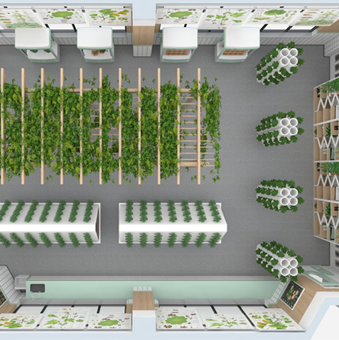 product_detail.php?id=226