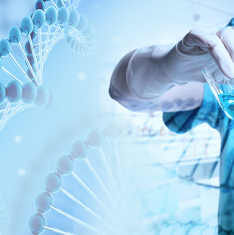 product_detail.php?id=213