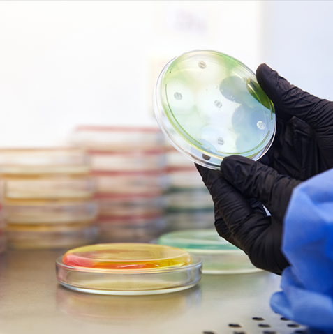 product_detail.php?id=252