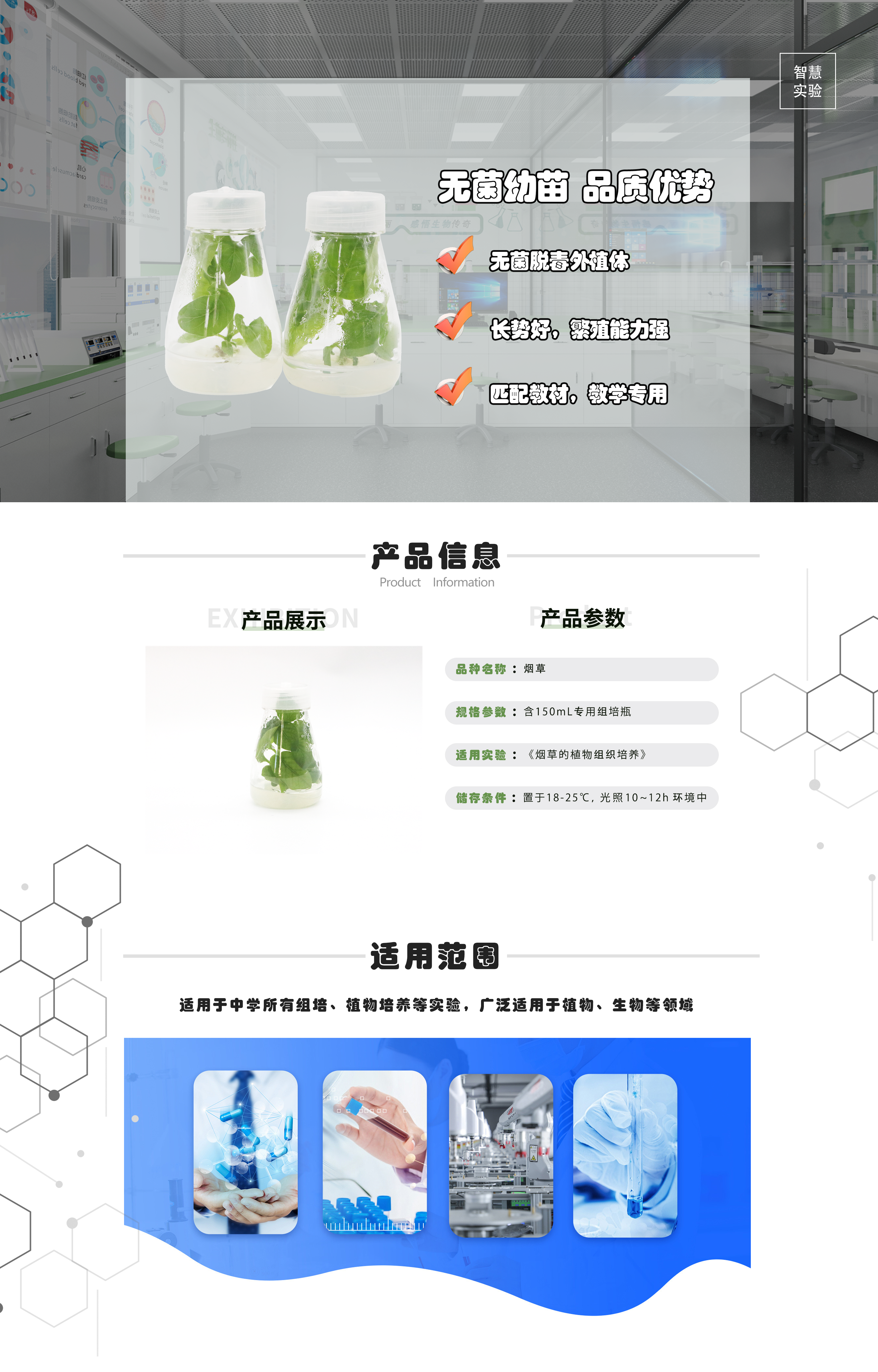 烟草组培苗.png